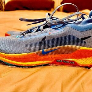 Nike Pegasus Trail Gore-Tex Running Shoes Blue Orange Men’s Size 10